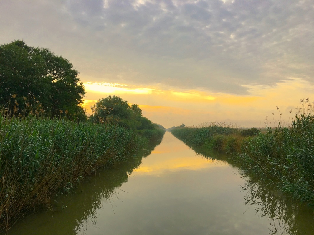 Danube Delta 2